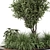 Outdoor Garden Bush Tree Set 3D model small image 5