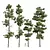 Pinus Echinata Palustris Tree Models 3D model small image 1