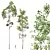 Aspen Populus Tremuloides 3D Trees 3D model small image 1