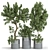  Russian Plant Collection 3D Models 3D model small image 1