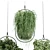 Modern Hanging Plant for Indoor Spaces 3D model small image 5