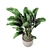 Concrete Pot Banana Plant Set 3D model small image 2