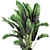 Concrete Pot Banana Plant Set 3D model small image 3