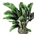 Concrete Pot Banana Plant Set 3D model small image 4