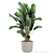 Concrete Pot Banana Plant Set 3D model small image 5