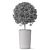 Large-scale Plant Collection 845 3D model small image 3