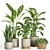 Modern Indoor Plant Set 37 3D model small image 1