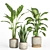 Modern Indoor Plant Set 37 3D model small image 2