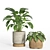 Modern Indoor Plant Set 37 3D model small image 3