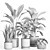 Modern Indoor Plant Set 37 3D model small image 4