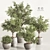 Versatile Indoor Plant Set 84 3D model small image 1