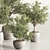 Versatile Indoor Plant Set 84 3D model small image 4