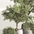 Versatile Indoor Plant Set 84 3D model small image 6