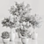 Versatile Indoor Plant Set 84 3D model small image 7