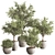 Versatile Indoor Plant Set 84 3D model small image 8