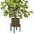 Indoor Plants Collection 3D Models 3D model small image 3