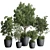 Concrete Olive Tree Plant Set 3D model small image 1