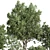 Concrete Olive Tree Plant Set 3D model small image 3