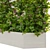 Rustic Outdoor Plant Set 08 3D model small image 3