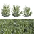 Botanical 3D Plant Models Set 3D model small image 1