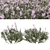 Winter Heather Shrub 3D Models 3D model small image 1