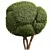 Pruned Bonsai Collection Duo 3D model small image 2