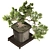 Exquisite Bonsai Tree Collection 03 3D model small image 3