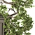 Exquisite Bonsai Tree Collection 03 3D model small image 4