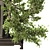 Exquisite Bonsai Tree Collection 03 3D model small image 5