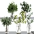 Green Plants Bouquet Indoor Decor 3D model small image 1