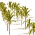 Exquisite Cocos Queen Palm Models 3D model small image 3