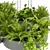 Pothos Ivy Hanging Plant Model 3D model small image 6