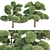 Poplar Trees Collection 3D Model 3D model small image 1