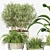 Blooming Indoor Plant Collection 3D model small image 2