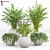 Modern Indoor Plant Set 09 3D model small image 1