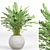 Modern Indoor Plant Set 09 3D model small image 2