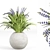 Modern Indoor Plant Set 09 3D model small image 5