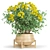 Versatile Plant 3D Collection: Corona 3D model small image 1