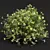 Versatile Plant 3D Models Collection 3D model small image 5