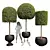 Ficus Concinna Bonsai Trio Set 3D model small image 1