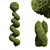 Bonsai Ficus Concinna Pruned Set 3D model small image 3
