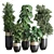  3D Indoor Plant Set with Longhi Godwin Pot 3D model small image 1