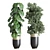  3D Indoor Plant Set with Longhi Godwin Pot 3D model small image 2