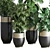  3D Indoor Plant Set with Longhi Godwin Pot 3D model small image 3