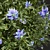 White Floral 3D Plant Models 3D model small image 3