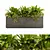 Botanical Sanctuary Outdoor Plants 3D model small image 1