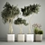 European Olive Tree Collection in Concrete Pots 3D model small image 1