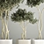 European Olive Tree Collection in Concrete Pots 3D model small image 4