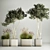 Olive Tree Collection for Decor 3D model small image 1