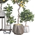 Fruit Tree Collection Set 21 3D model small image 4